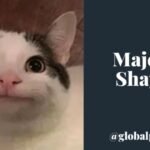 Majedar Shayari thumbnail with funny smiling cat face