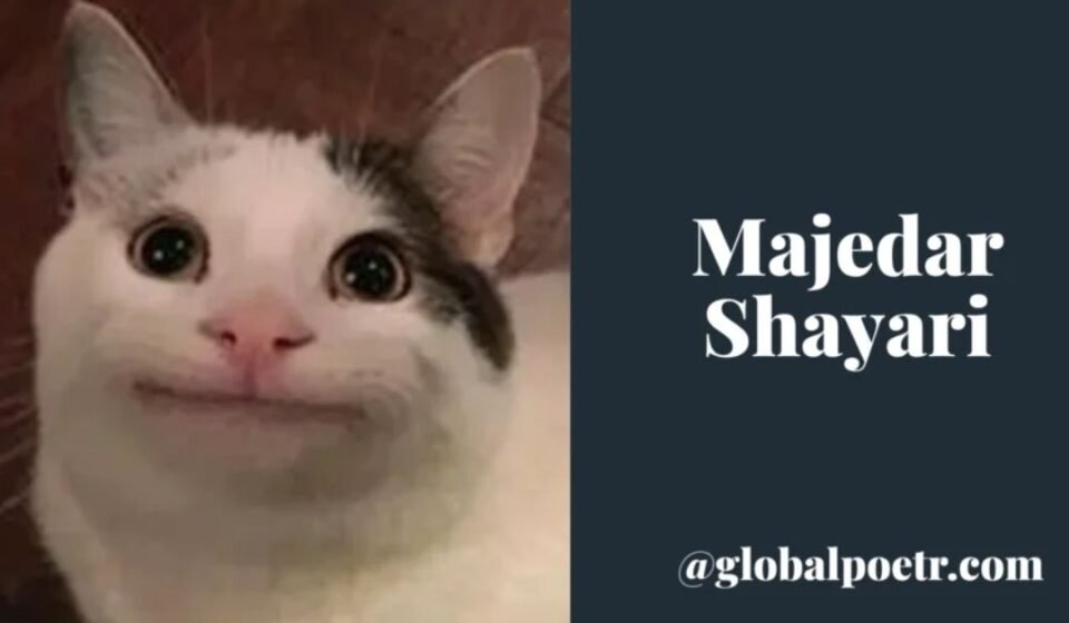 Majedar Shayari thumbnail with funny smiling cat face